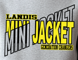 Landis Elementary School PTA - You Choose The Shirt Style - Shirt Color Is Gray