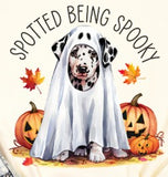 Halloween Dalmatian Dog -  Shirt Color Is Cream