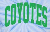 Coddle Creek Elementary  - You Choose The Shirt Style - Shirt Color Is Tie Dye