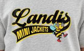 Landis Elementary School PTA - You Choose The Shirt Style - Shirt Color Is Gray