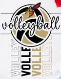 Salisbury Volleyball  - You Choose The Shirt Style - White