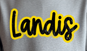 Landis Elementary School PTA - You Choose The Shirt Style - Shirt Color Is Gray