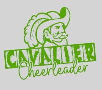 North Rowan High School Cheer - You Choose The Shirt Style - Gray