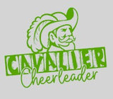 North Rowan High School Cheer - You Choose The Shirt Style - Gray