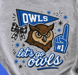 Harmony Elementary Owls  - You Choose The Shirt Style - Gray