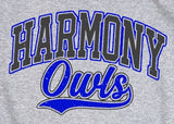 Harmony Elementary Owls  - You Choose The Shirt Style - Gray