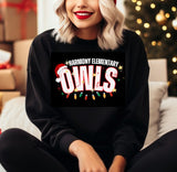 Harmony Elementary Owls  - You Choose The Shirt Style - Black