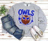 Harmony Elementary Owls  - You Choose The Shirt Style - Gray