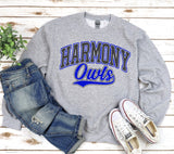 Harmony Elementary Owls  - You Choose The Shirt Style - Gray