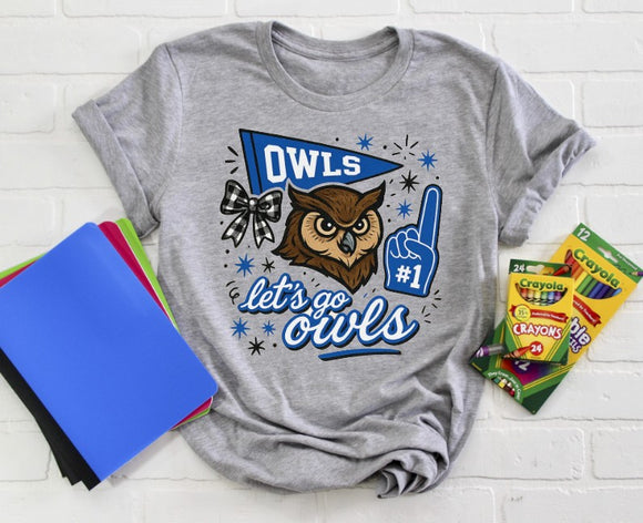 Harmony Elementary Owls  - You Choose The Shirt Style - Gray