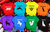 China Grove Elementary House Graphics  - You Choose the Shirt Style