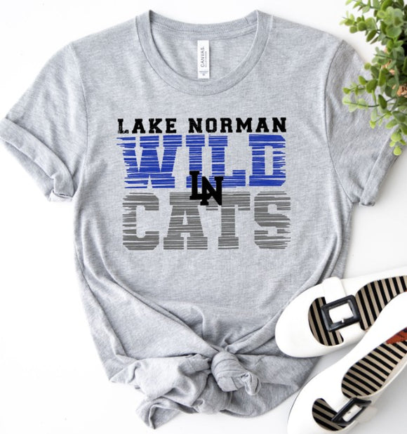 Lake Norman High School - You Choose The Shirt Style - Shirt Color Is Gray