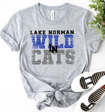 Lake Norman High School - You Choose The Shirt Style - Shirt Color Is Gray