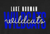 Lake Norman Baseball - You Choose The Shirt Style - Shirt Color Is Black