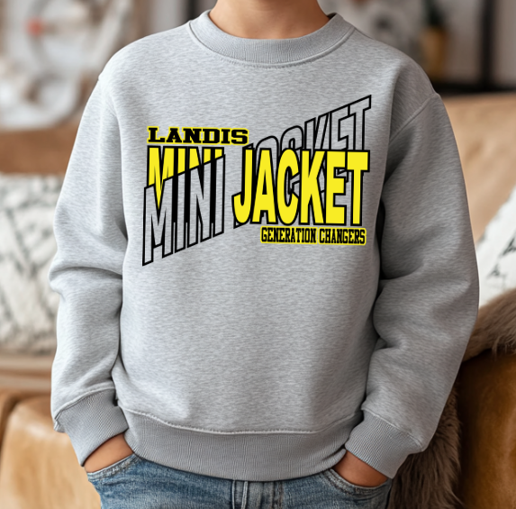 Landis Elementary School PTA - You Choose The Shirt Style - Shirt Color Is Gray
