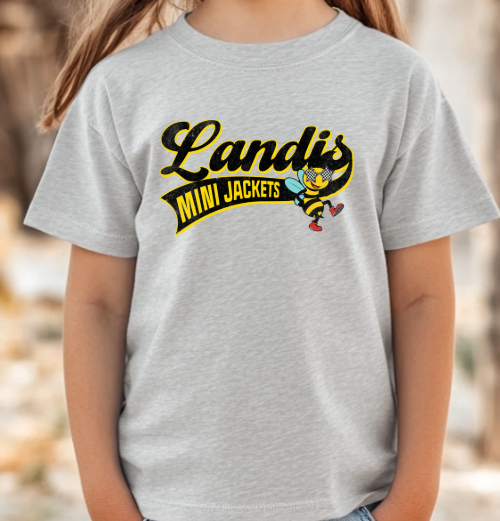 Landis Elementary School PTA - You Choose The Shirt Style - Shirt Color Is Gray