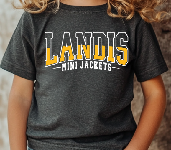 Landis Elementary School PTA - You Choose The Shirt Style - Shirt Color Is Charcoal Gray