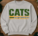 Cats Iredell-Statesville - You Choose The Shirt Style - Shirt Color Is Gray