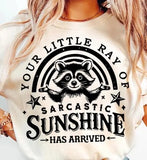 Snow Day Special  - You Choose the Shirt Style