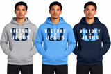 Victory In Jesus ~ You Choose The Shirt Style & Color